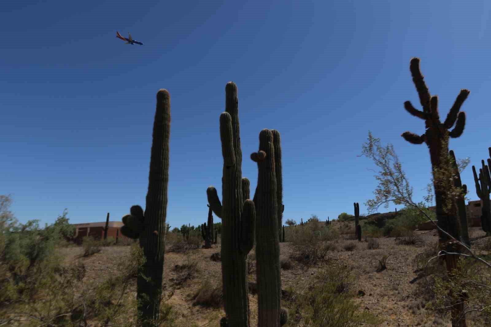 a milli takimin kamp yaptigi arizona sicagi ve dogasiyla one cikiyor 6