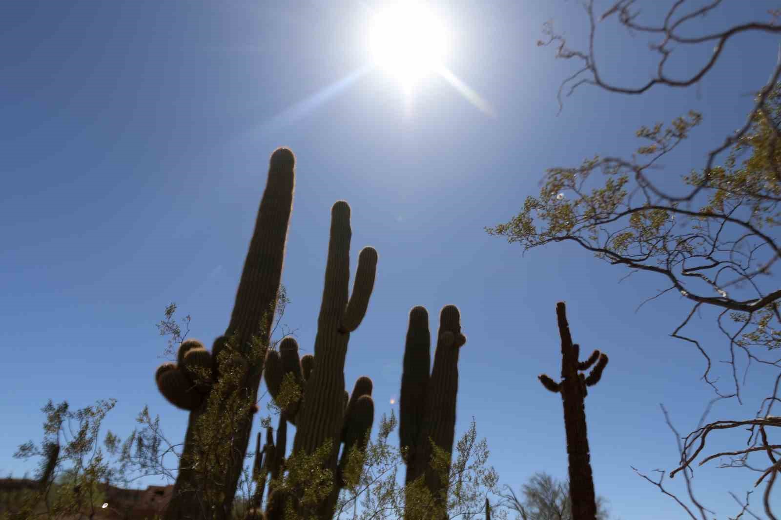 a milli takimin kamp yaptigi arizona sicagi ve dogasiyla one cikiyor 7 WggutYwi