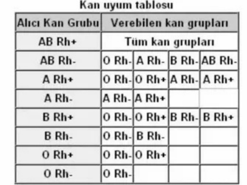 a rh pozitif kan4