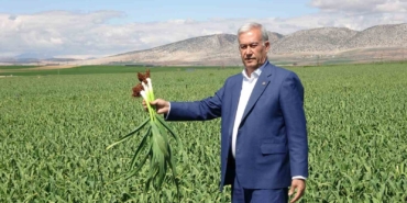 ab-tescilli-araban-sarimsaginda-yuksek-rekolte-ve-kaliteli-urun-bekleyisi-27r3TKAp.jpg