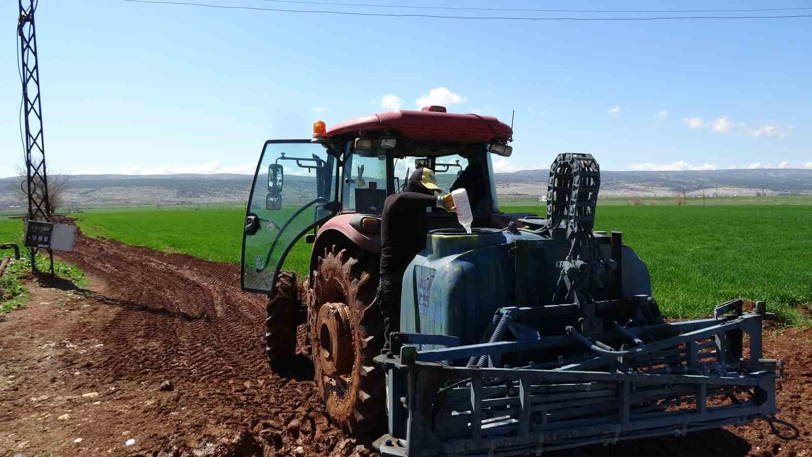 ab tescilli araban sarimsaginda yuksek rekolte ve kaliteli urun bekleyisi 5 1I7QAFbJ