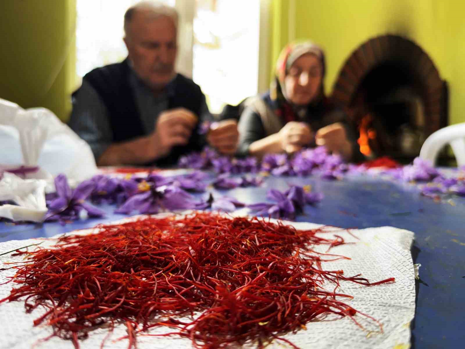 ab tescilli safranin hasadi suruyor 4 pwFEUZjh