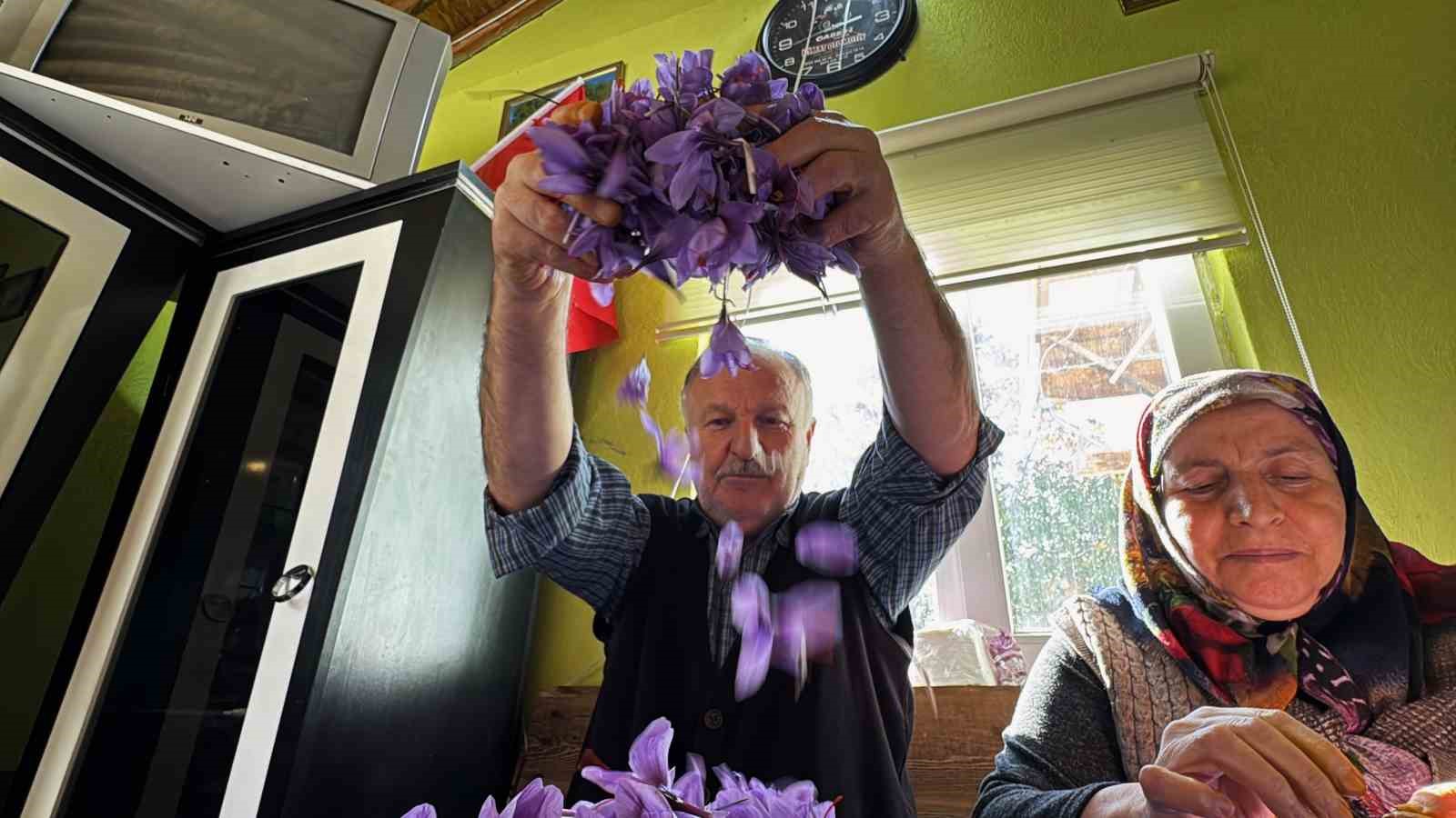 ab tescilli safranin hasadi suruyor 9 FIiTPA5E