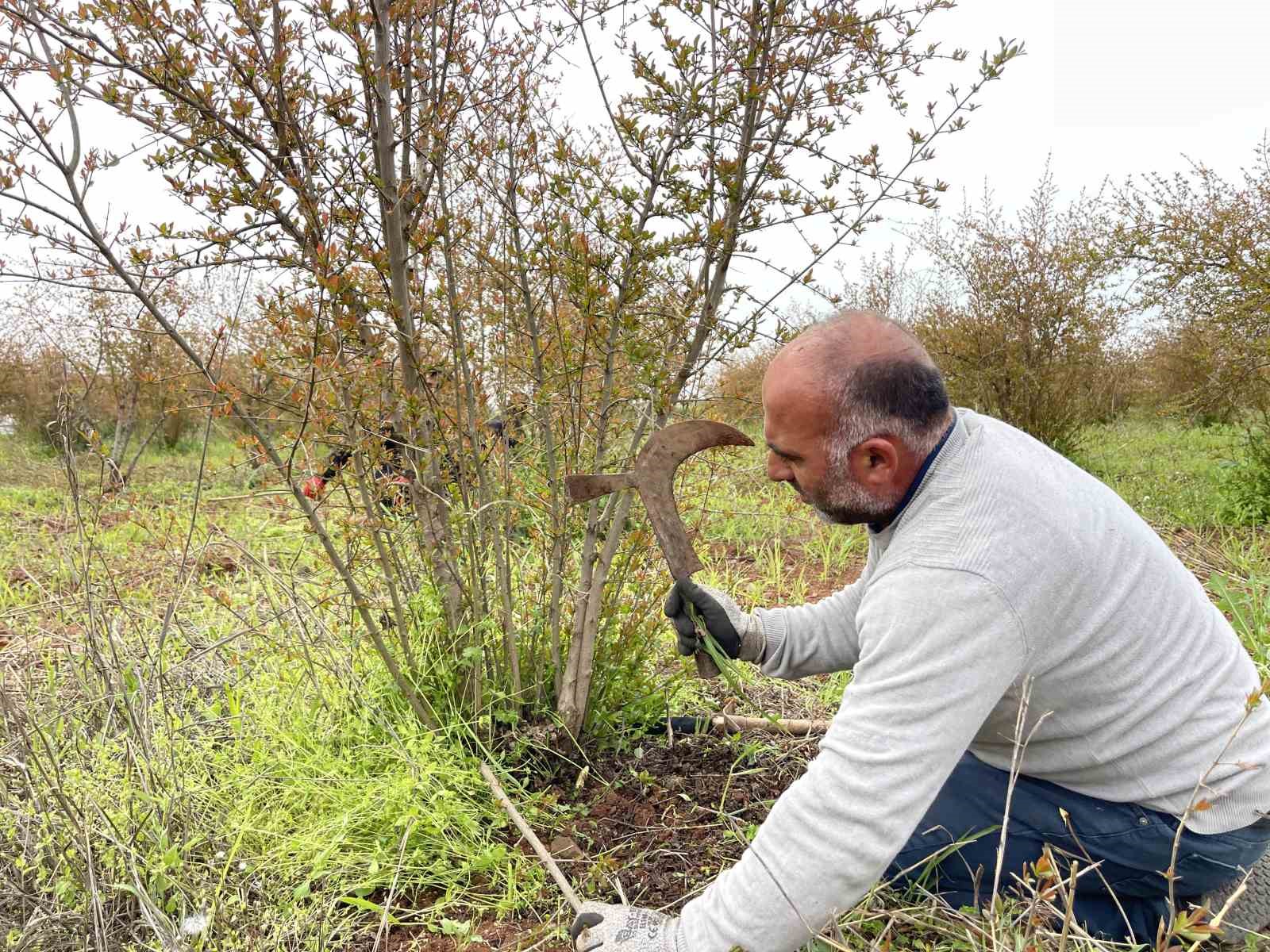 ab tescilli suruc narinda budama zamani 1 ncwKEmzh