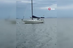 Tayland’da resmi olmayan sonuçlara göre Bhumjaithai Partisi birinci oldu 1 thumbnail