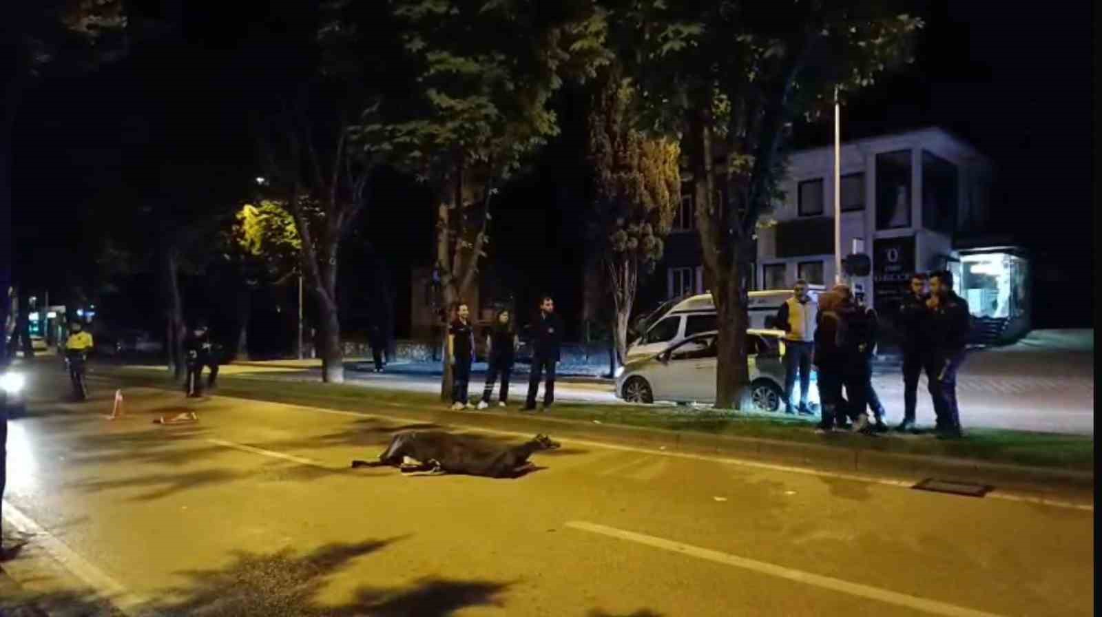 abi kardes 4 yil sonra benzer kazada hayatini kaybetti 4