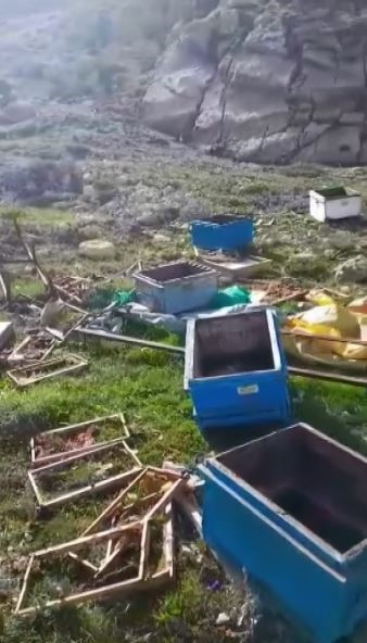 ac kalan ayi kovanlari parcaladi kacarken goruntulendi 1 I8qjOSiN