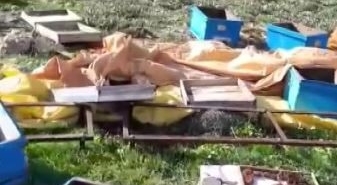 ac-kalan-ayi-kovanlari-parcaladi-kacarken-goruntulendi-IMHmc9ed.jpg