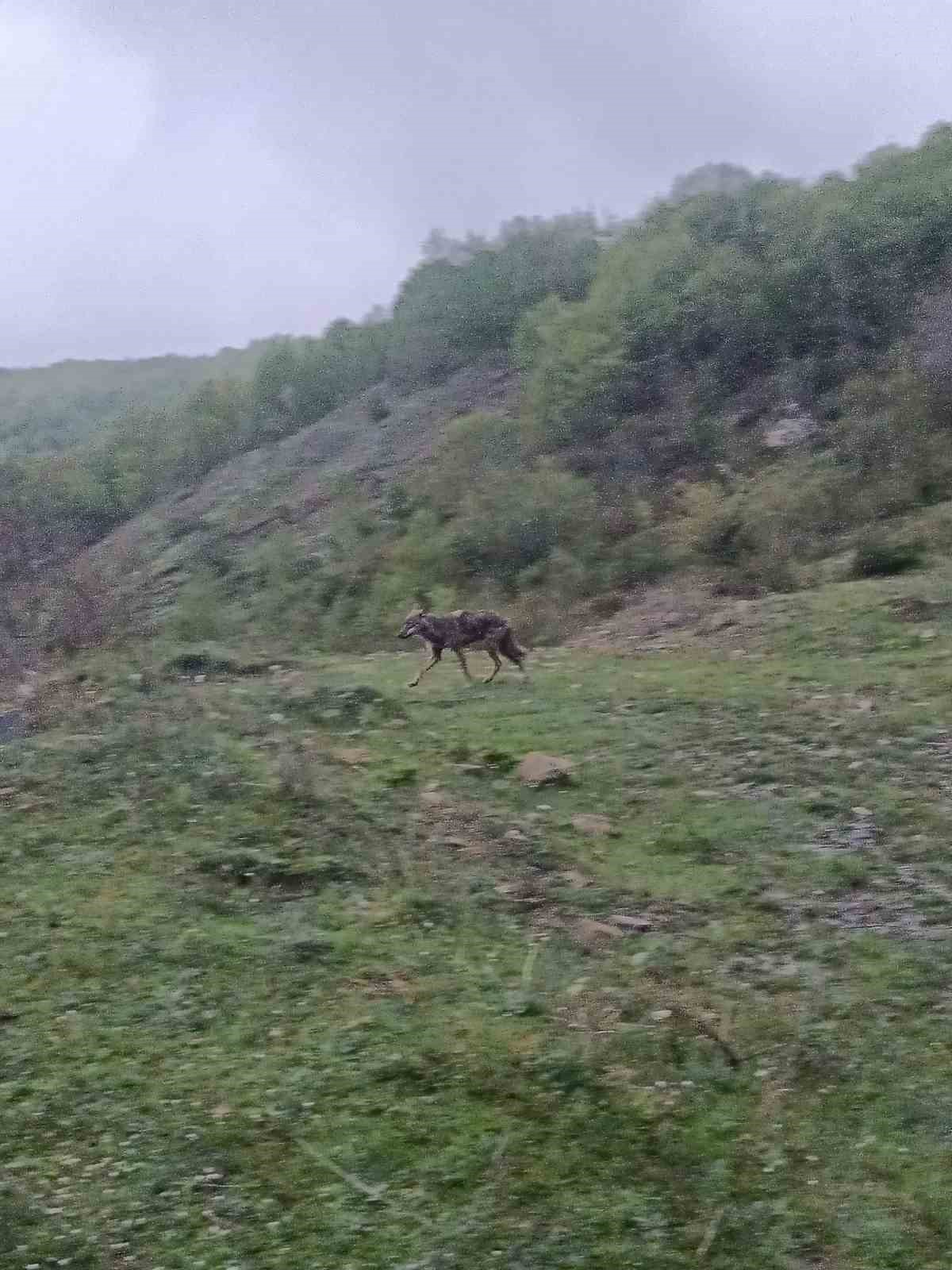 ac kalan cakal yerlesim yerine indi 0 rkveGVbw