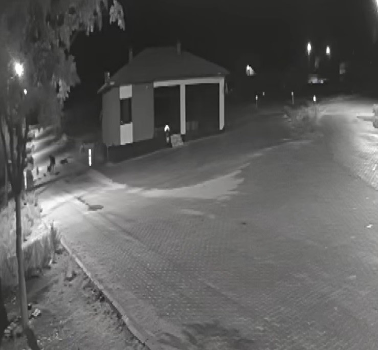 ac kalan kurtlar mahalleye inerek esege saldirdi 1 eCuDI97Q