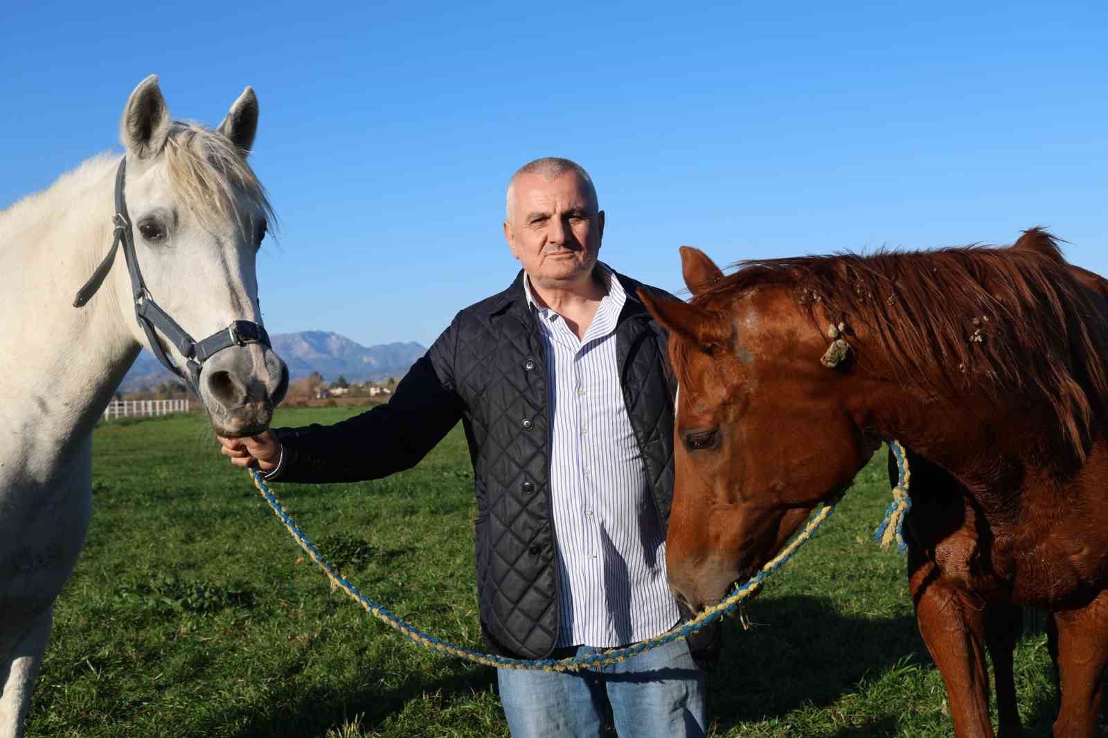 adana milyonluk ingiliz ve arap atlarinin yetisme alani oldu 10 TgAVNEqM