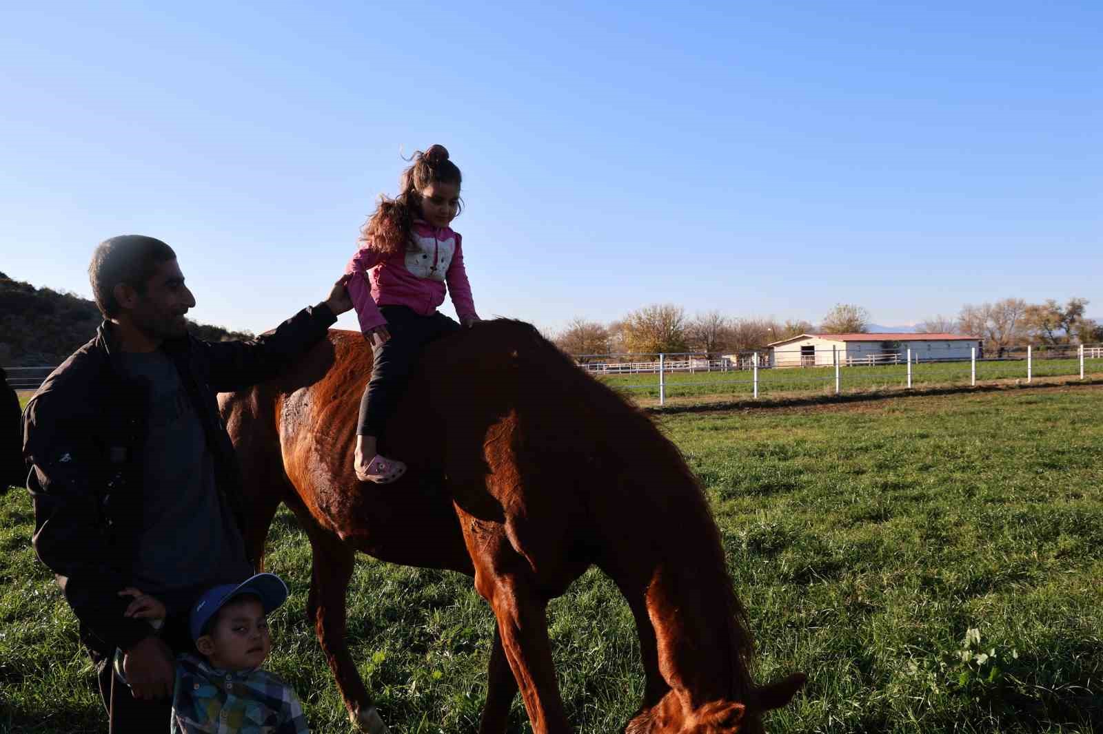 adana milyonluk ingiliz ve arap atlarinin yetisme alani oldu 12 IPNFfrie