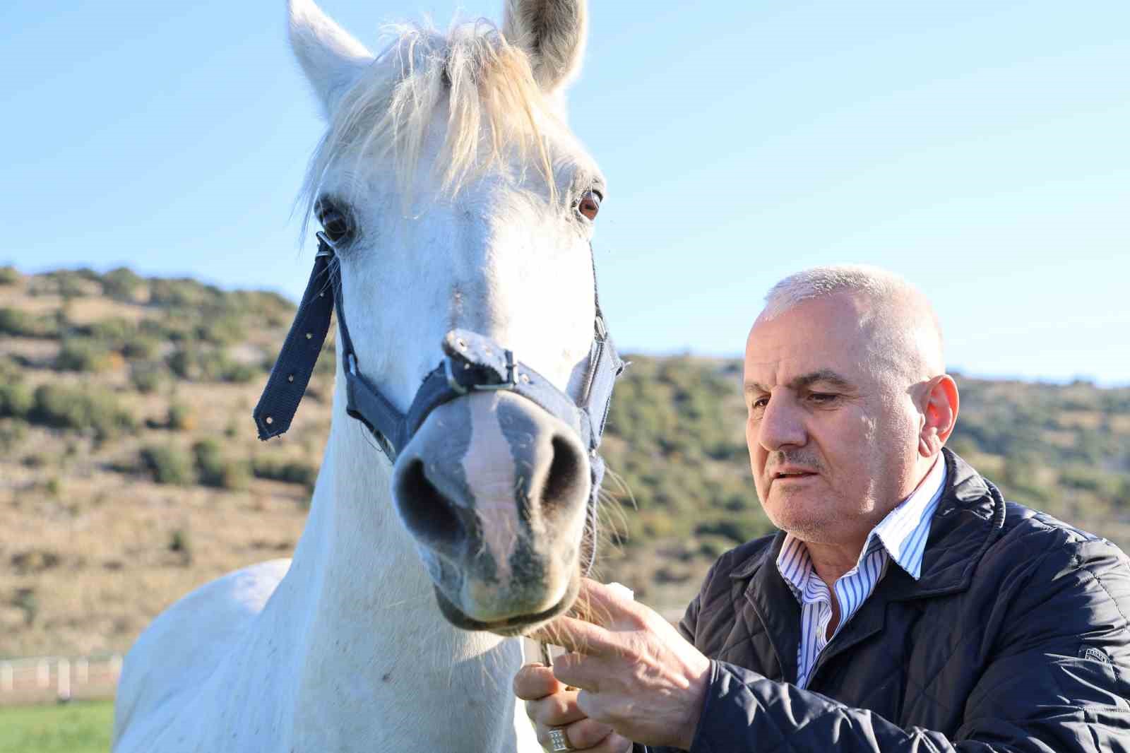 adana milyonluk ingiliz ve arap atlarinin yetisme alani oldu 8 F3Z1THep