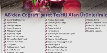 adana-salgami-abden-cografi-isaret-tescili-aldi-4BrTQW6A.jpg
