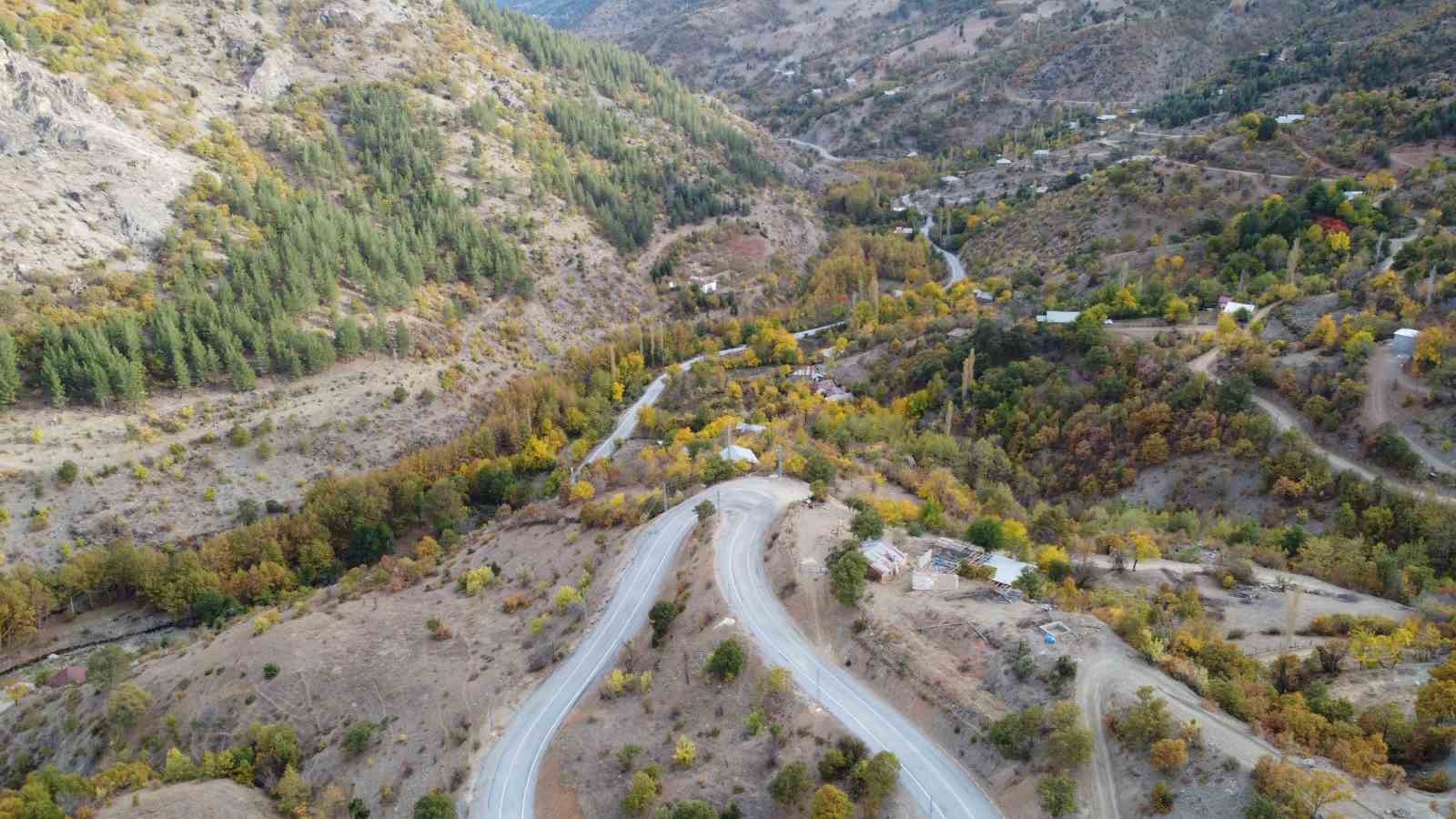 adanada 37 yil once koylulerin diktigi fidanlar ormana donustu 2 yuI7VbrA