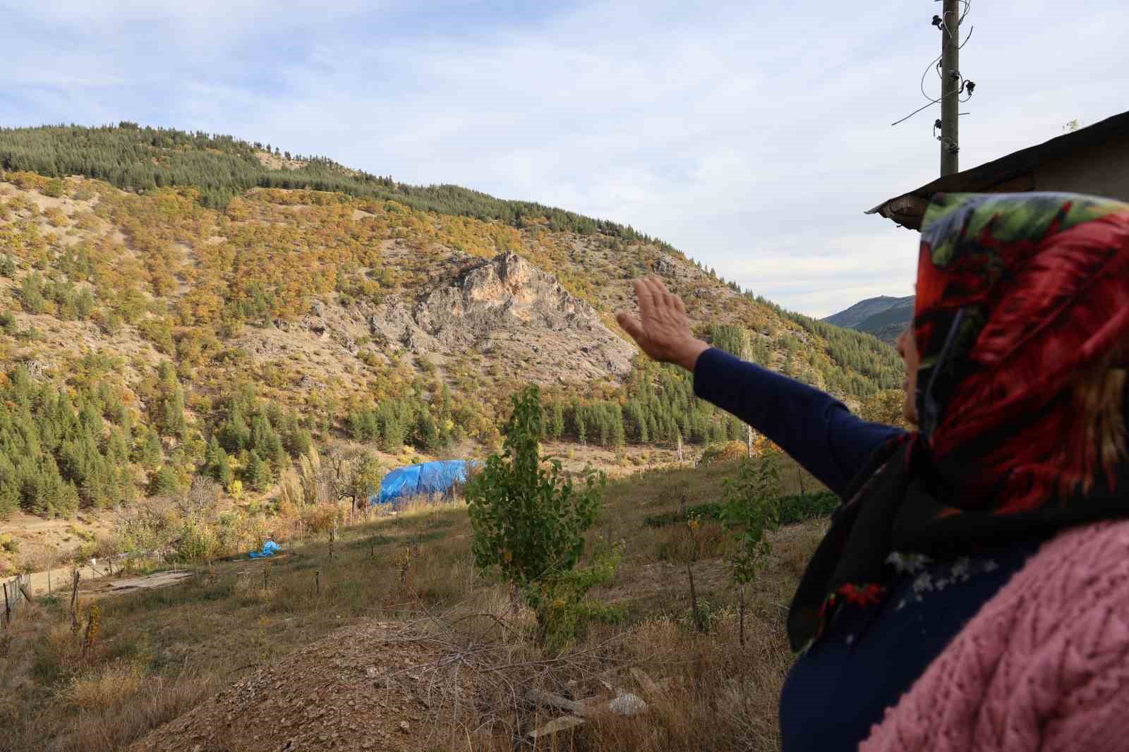 adanada 37 yil once koylulerin diktigi fidanlar ormana donustu 3 tvTBgkGZ