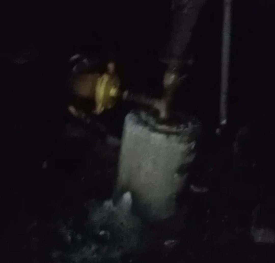 adanada 40 guvercin yanginda telef oldu 0