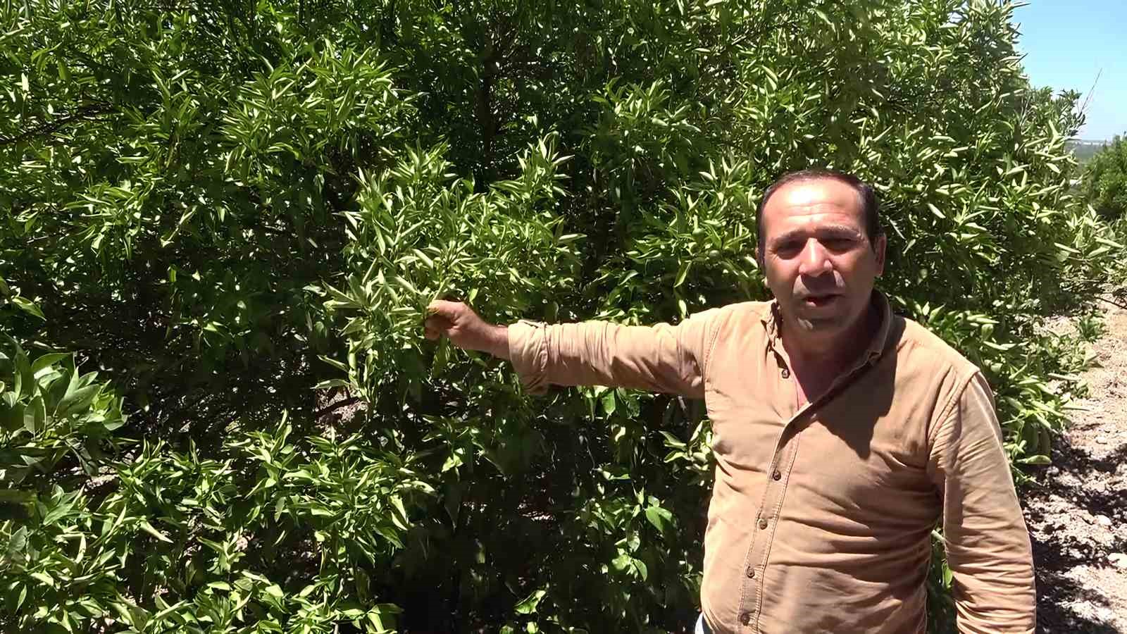 adanada 7 aydir tamir edilmeyen pompa ureticiyi isyan ettirdi 1
