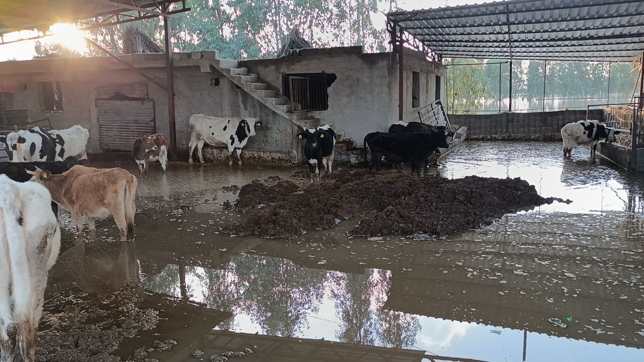 adanada afetin boyutu havadan goruntulendi 5 iU9hUN4a