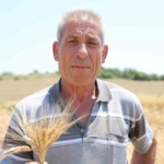 adanada-ata-tohumu-karakilcik-bugdayi-yeniden-uretime-kazandirildi-LMuUSYL9.jpg