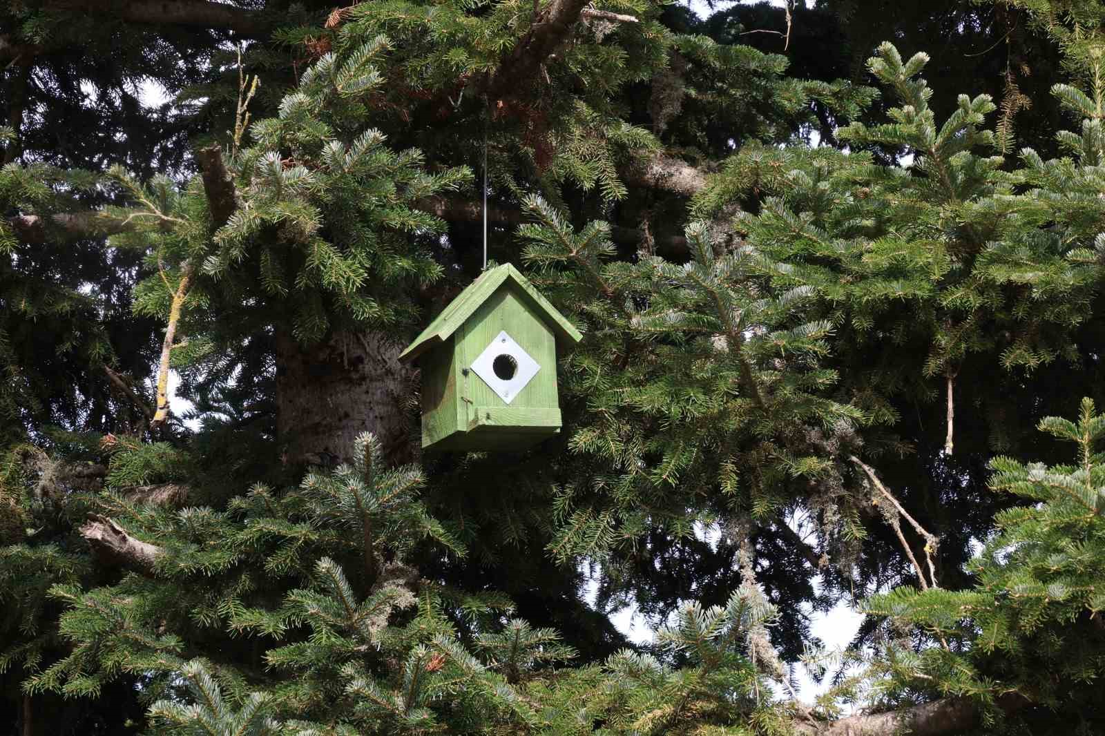 adanada bir yanda kar bir yanda bahar 1 kpDFWIIA