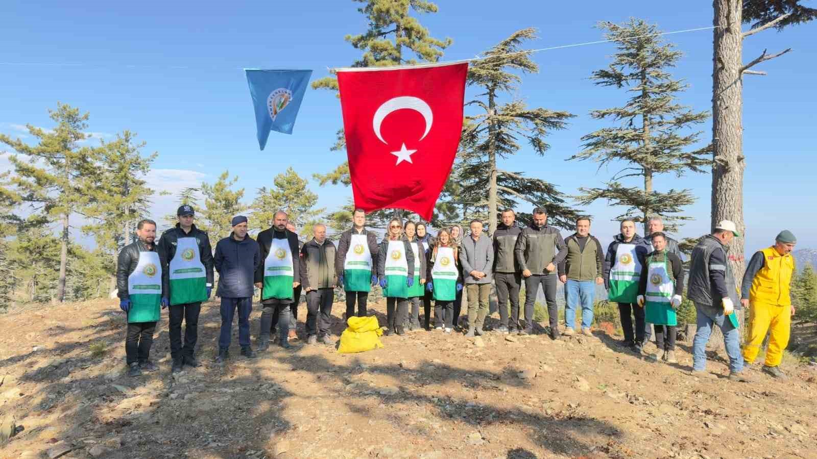 adanada bir yilda 50 ton sedir tohumu toprakla bulustu 1 YpImS5w1