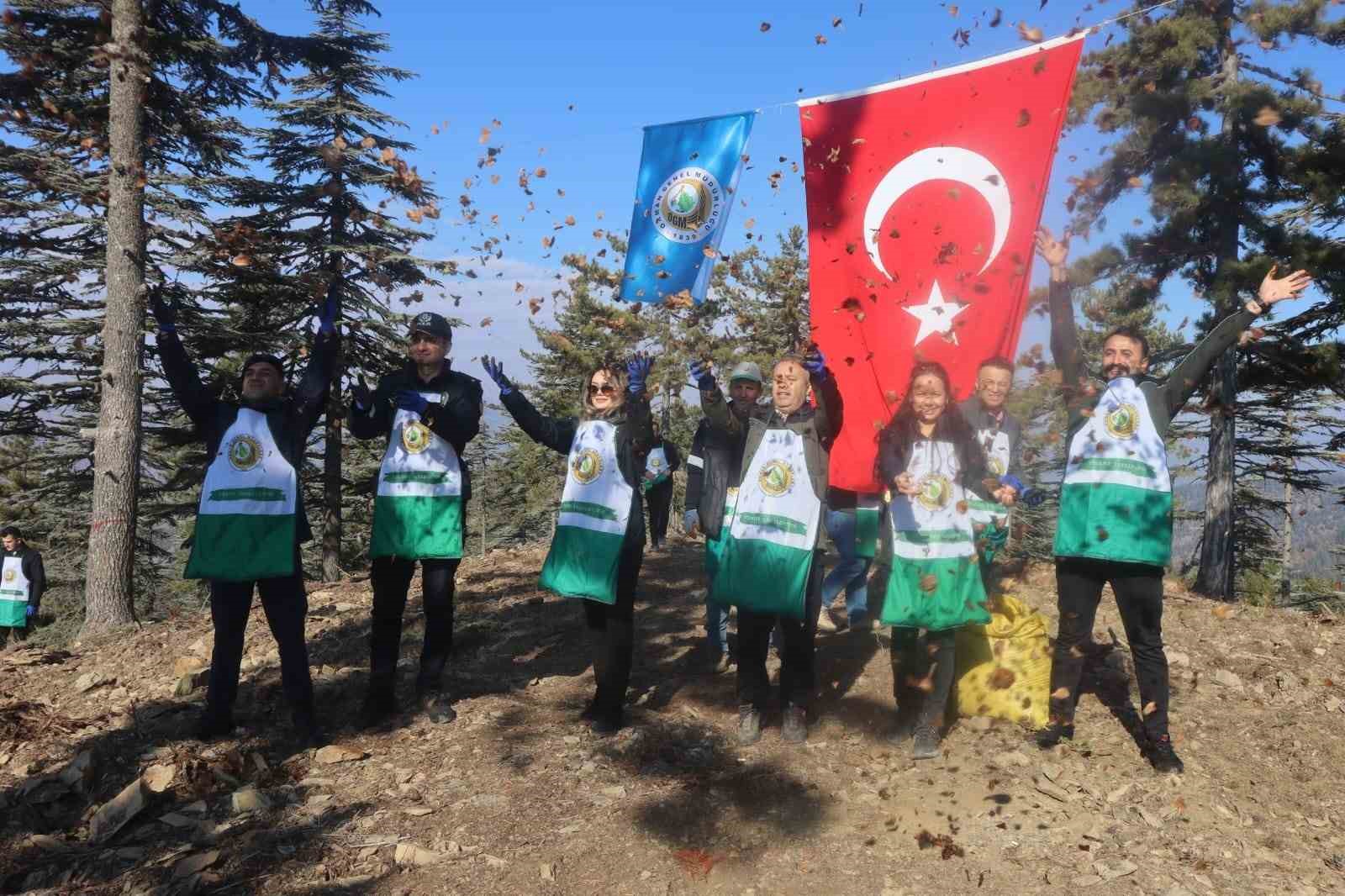 adanada bir yilda 50 ton sedir tohumu toprakla bulustu 2 42Yr6KKt