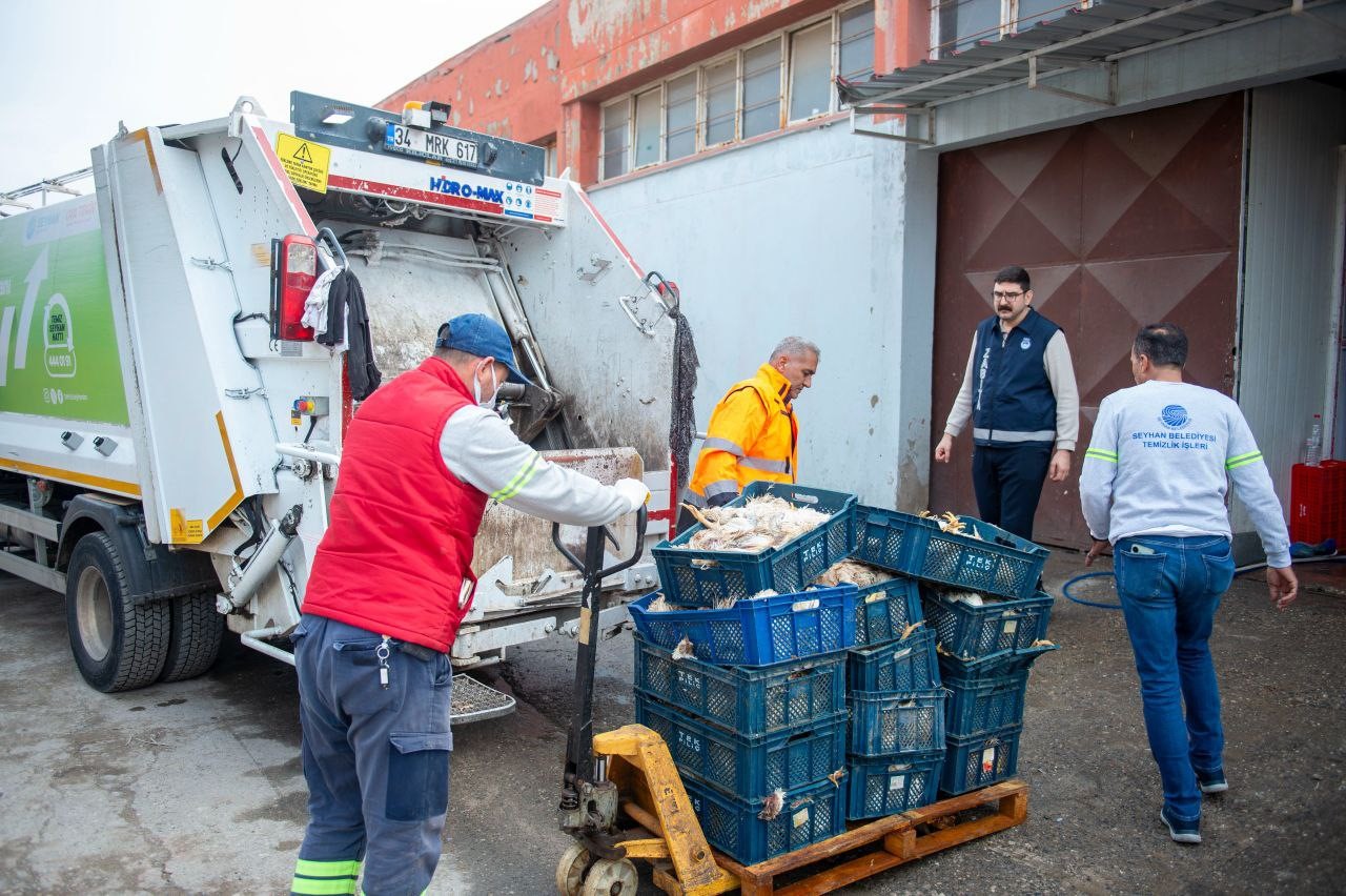 adanada depoda kokmus 25 kasa tavuk ele gecirildi 2 P1XTgA6q