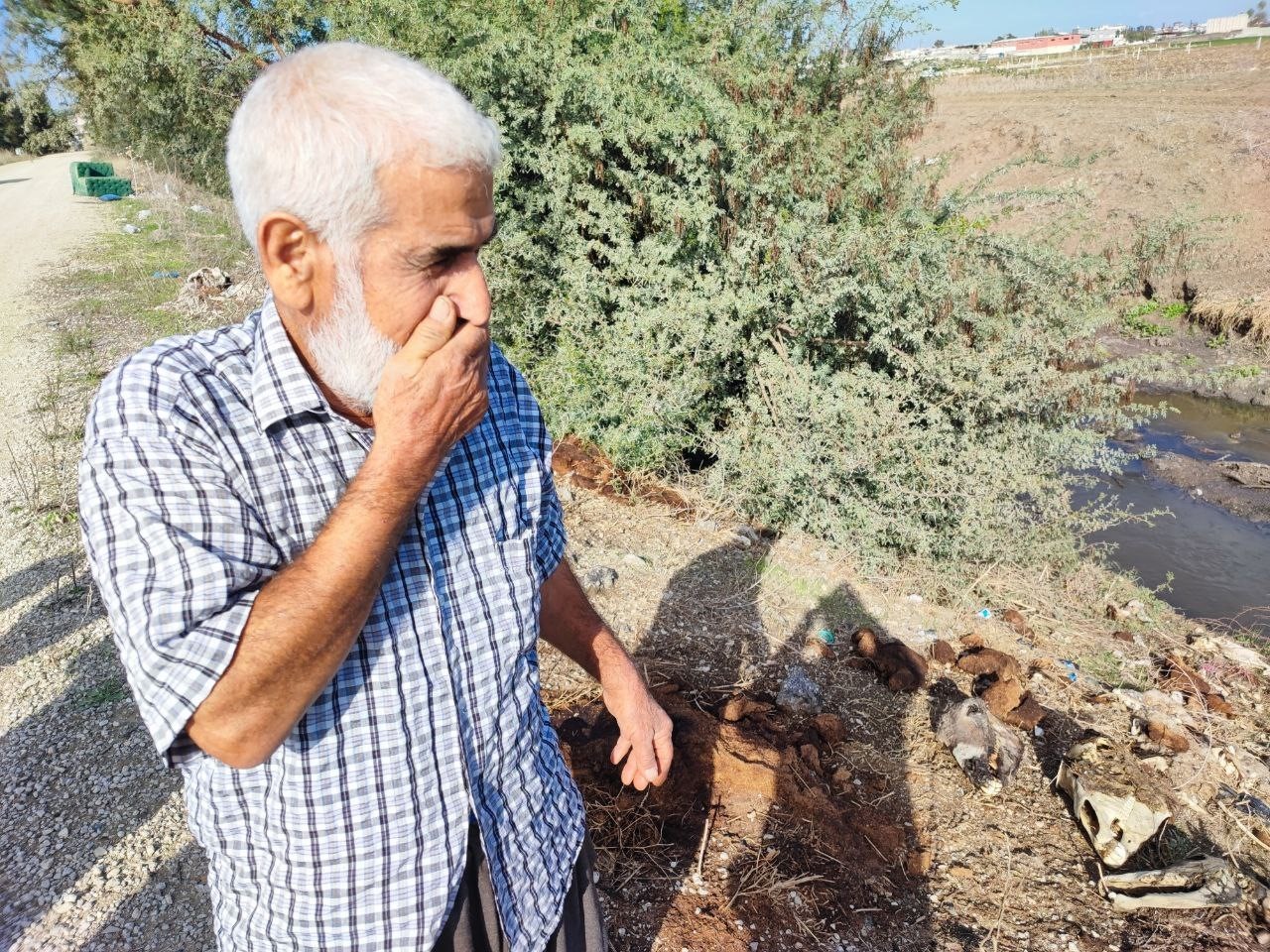 adanada dere yatagina yine at ve esek kalintilari atildi mahalle sakinleri tepki gosterdi 1 MDVjcmac