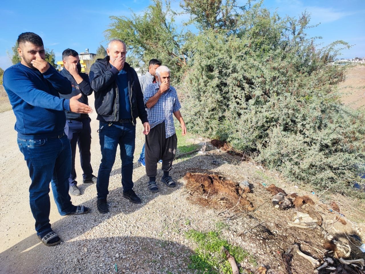 adanada dere yatagina yine at ve esek kalintilari atildi mahalle sakinleri tepki gosterdi 2 n5RP62V2