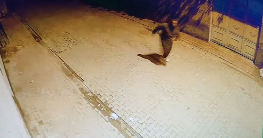adanada evin camlarina tas atip kacti o anlar kamerada 0 rerB9haM