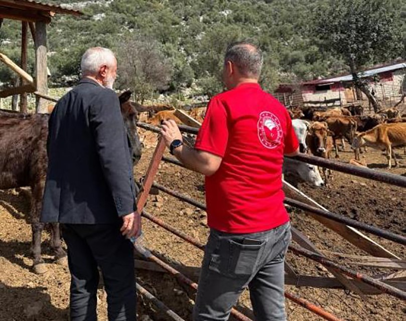 adanada guney sarisi bereketi yerli irk ureticinin yuzunu gulduruyor 0