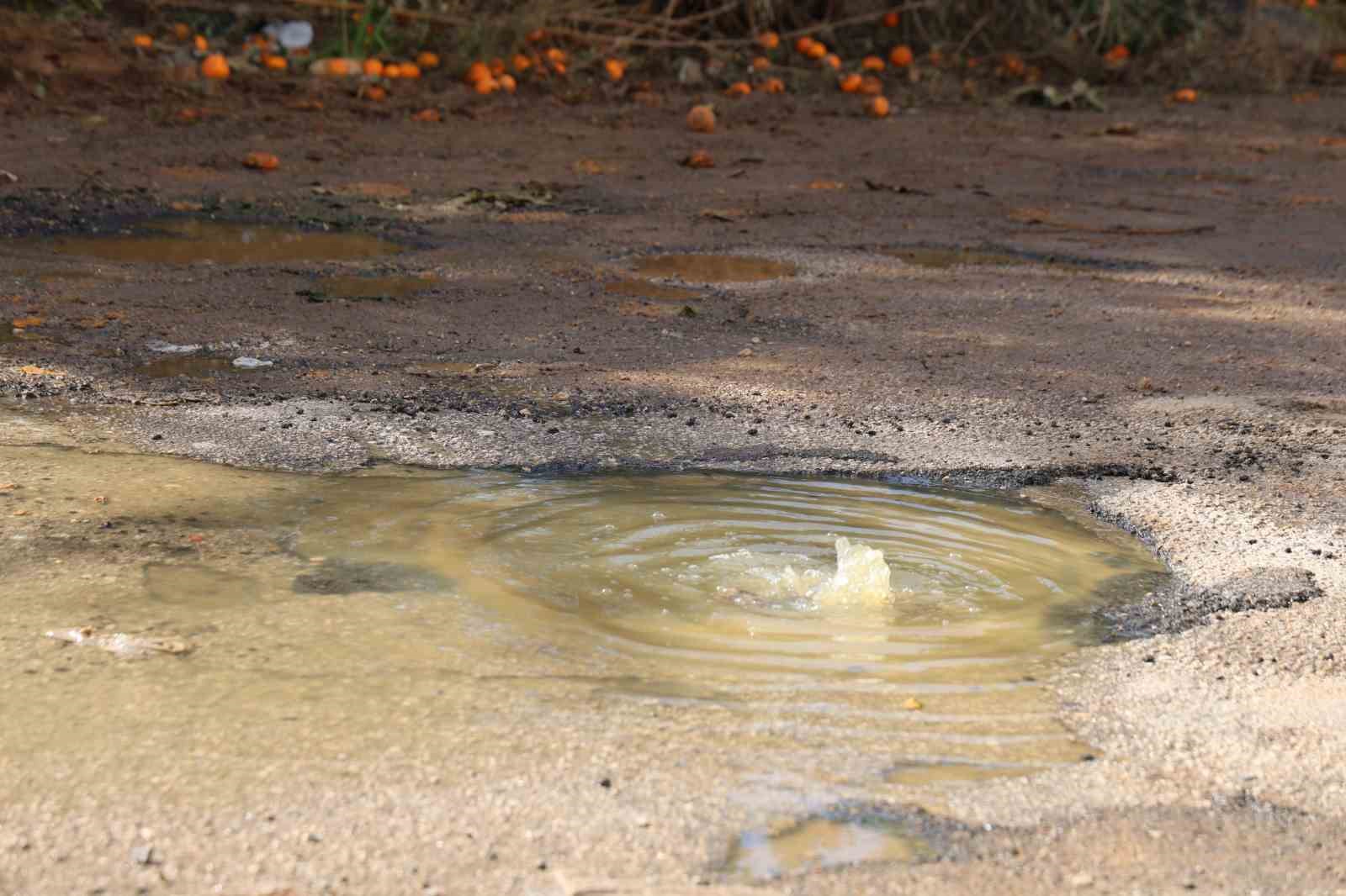Adana’da iğrenç manzara: Lağımlar sokağa taşıyor, çocuklar üzerinden atlamak zorunda kalıyor 6 adanada igrenc manzara lagimlar sokaga tasiyor cocuklar uzerinden atlamak zorunda kaliyor 2