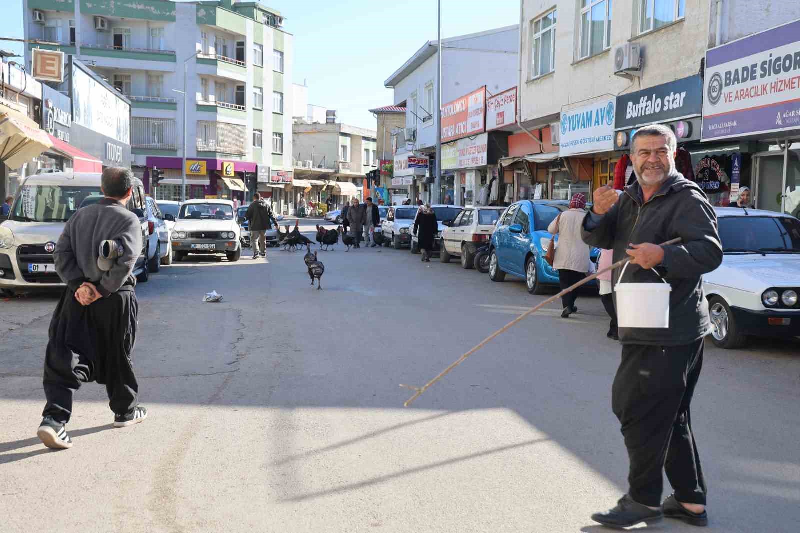 adanada ilginc goruntu hindiler carsida gezdirilerek satiliyor 1 NP4QDDkb