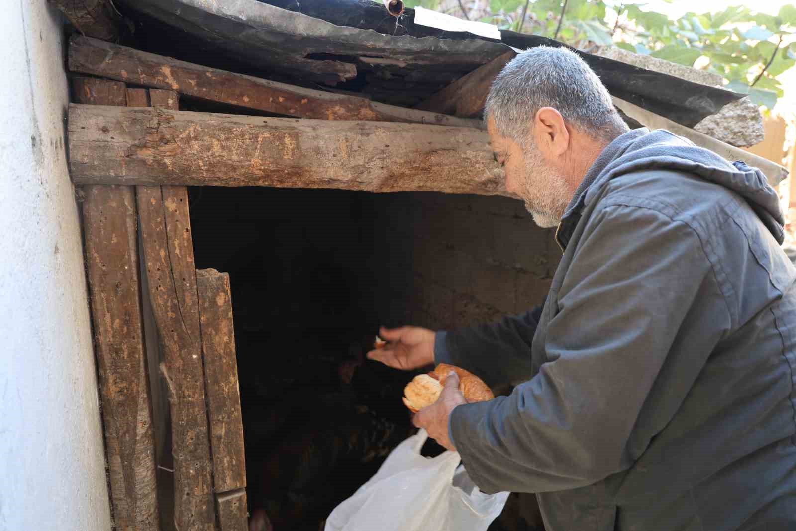 adanada ilginc goruntu hindiler carsida gezdirilerek satiliyor 4 YEkswVGq