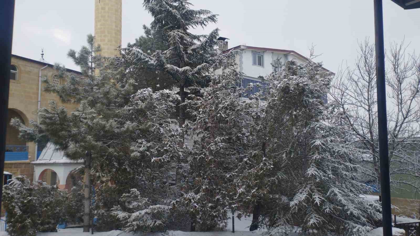adanada kar surprizi 0 efI6c69e