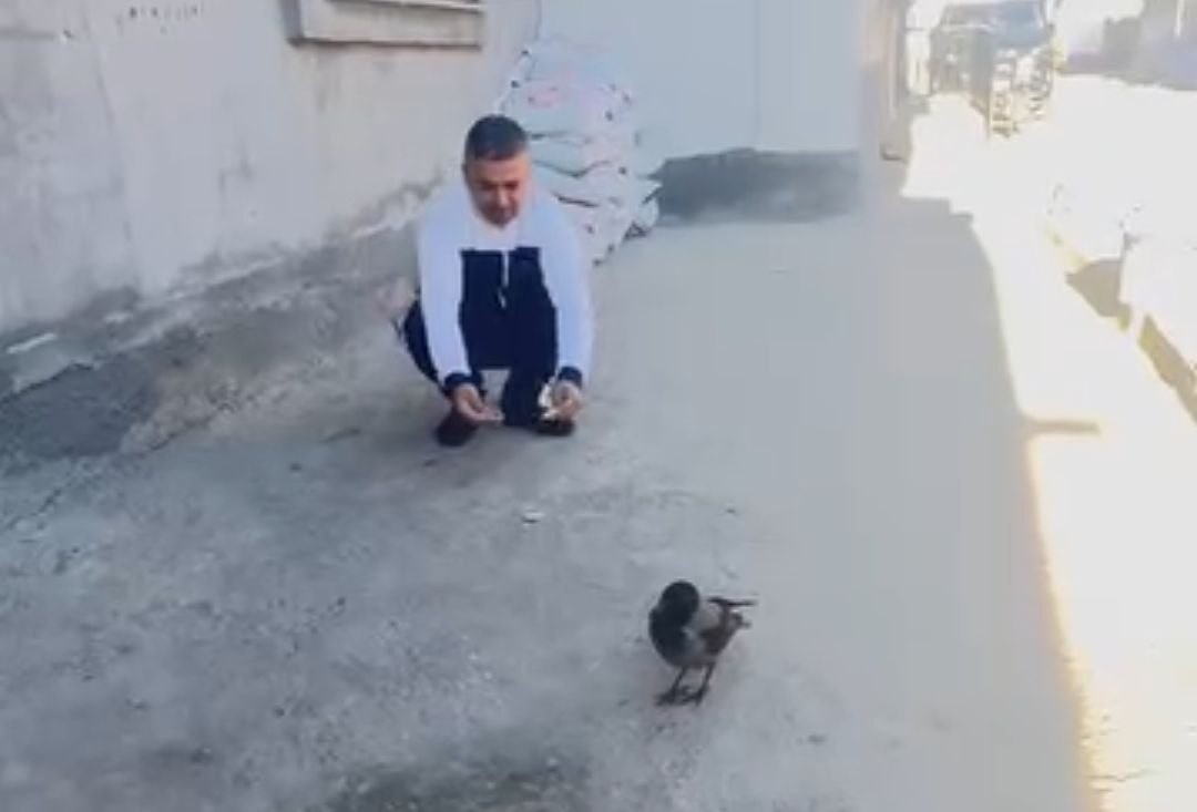 adanada karga bir evi mesken tuttu 4 caPRj5Dk
