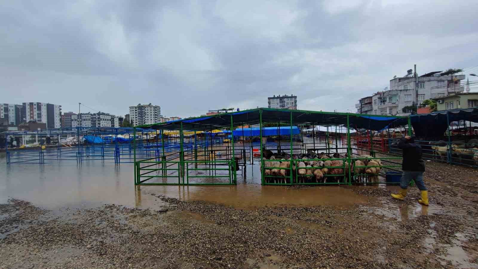 Adana’da kurban pazarını sel vurdu, besici gözyaşlarına boğuldu 9 adanada kurban pazarini sel vurdu besici gozyaslarina boguldu 5 u9wRie1N