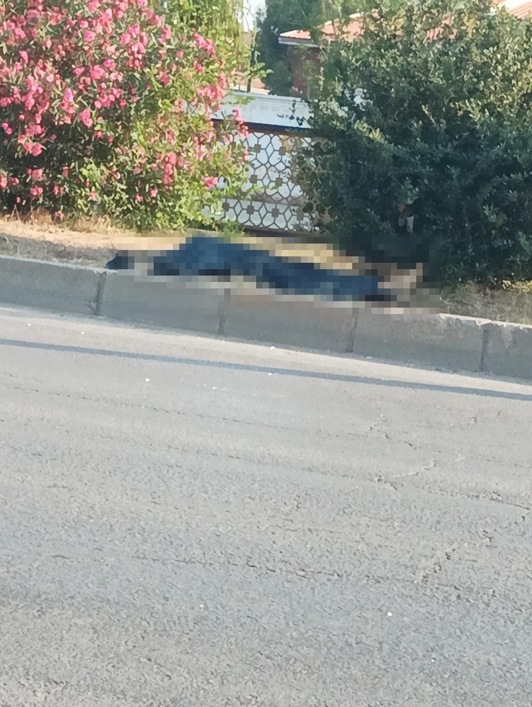 Adana’da minibüsün çarptığı yaya hayatını kaybetti 4 adanada minibusun carptigi yaya hayatini kaybetti 0 D1LEMVvp