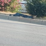 adanada-minibusun-carptigi-yaya-hayatini-kaybetti-NneragyT.jpg