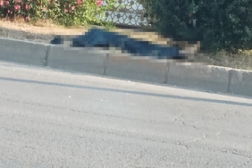 adanada-minibusun-carptigi-yaya-hayatini-kaybetti-NneragyT.jpg