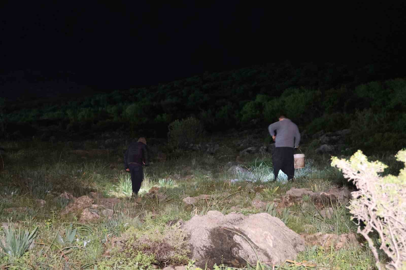 adanada salyangoz mesaisi kilogrami 35 lira 2 B9jPCcUK