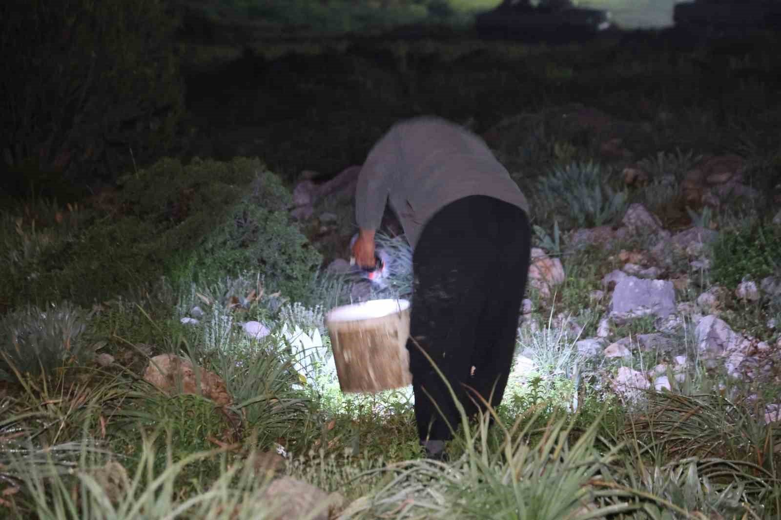 adanada salyangoz mesaisi kilogrami 35 lira 5