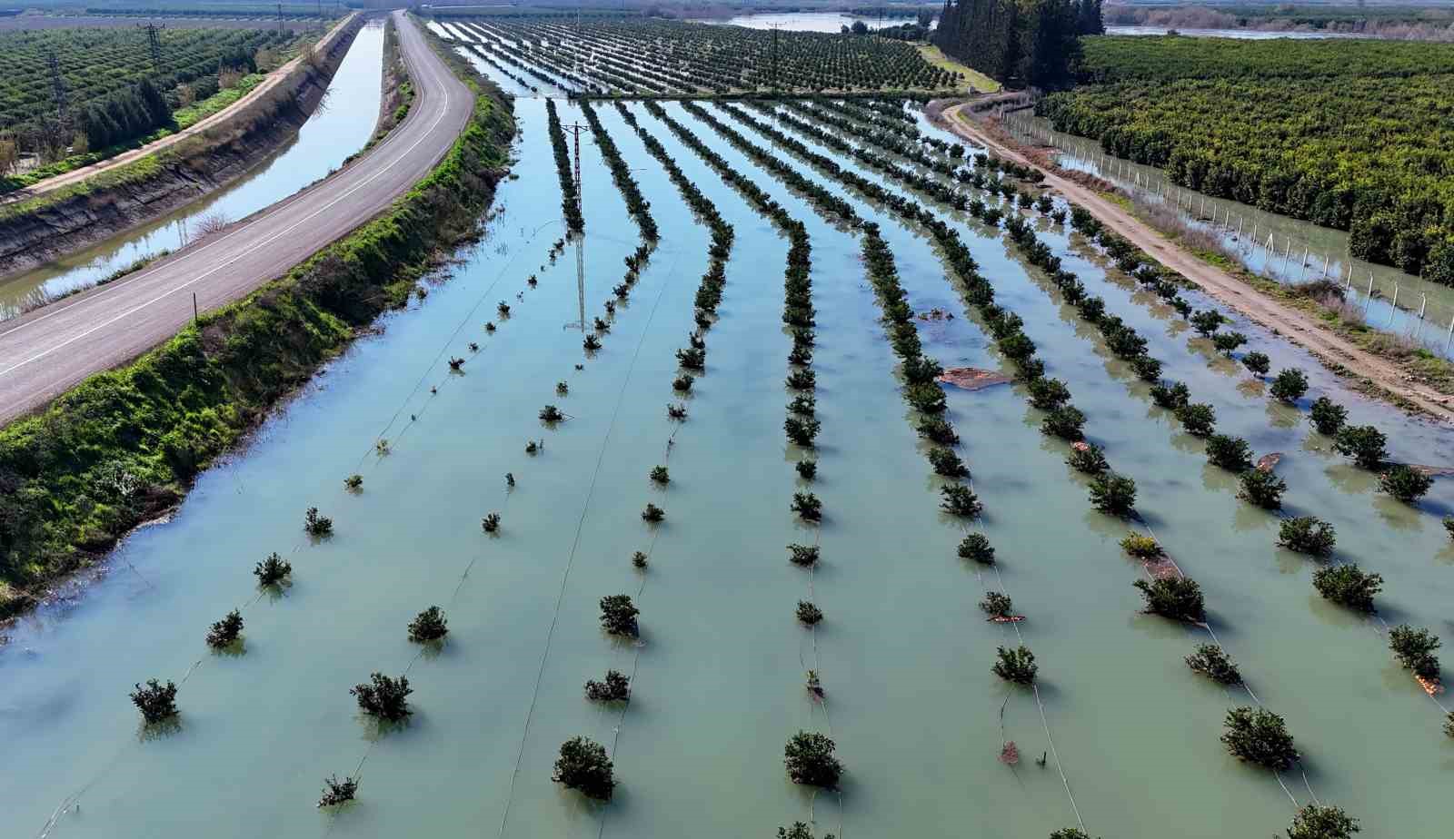 adanada sel sulari tarim arazilerini sular altinda birakti 1 wcqgiyhI
