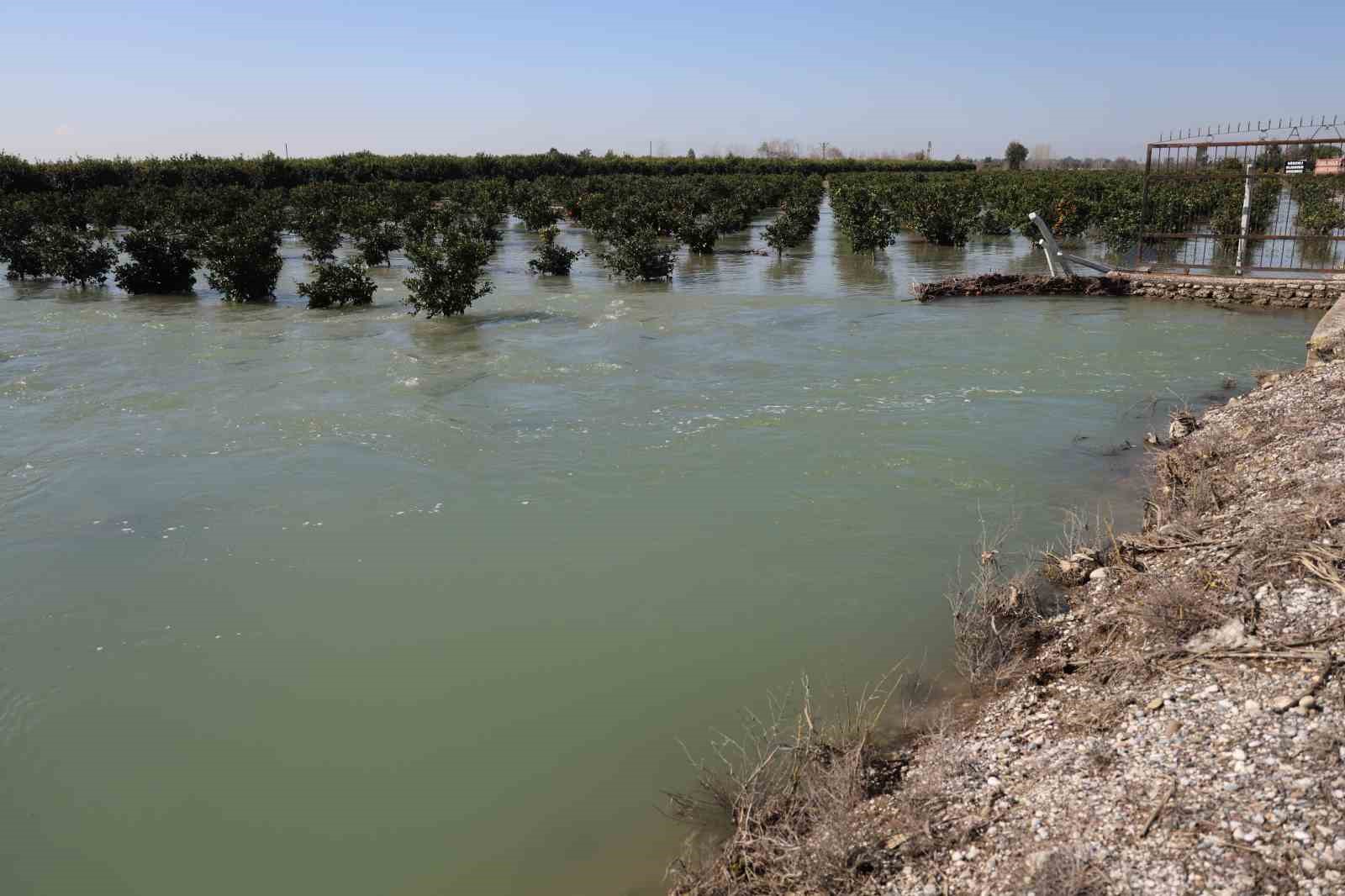 adanada sel sulari tarim arazilerini sular altinda birakti 3