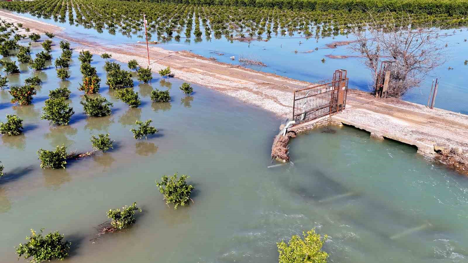 adanada sel sulari tarim arazilerini sular altinda birakti 5 tDwWgzsz
