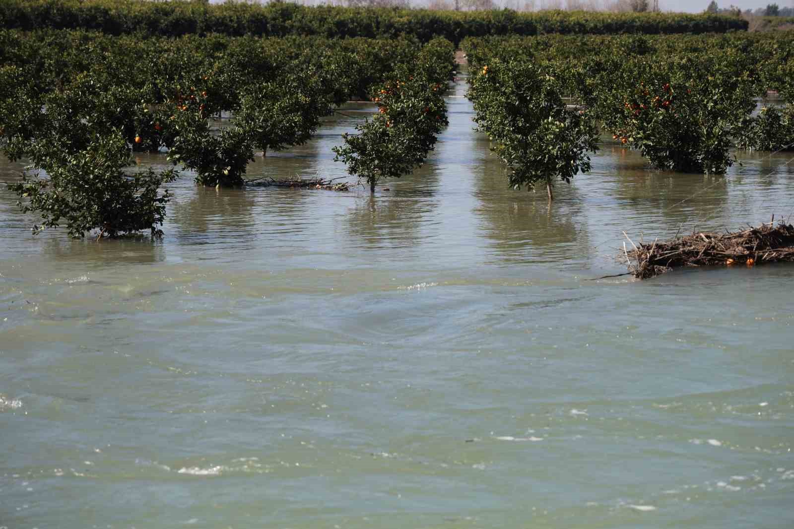adanada sel sulari tarim arazilerini sular altinda birakti 8 SEUbCyz6