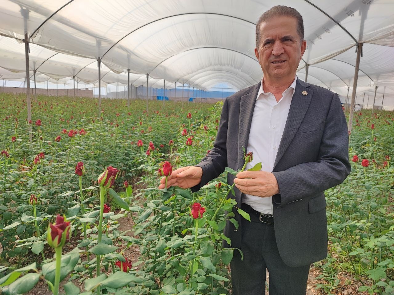 adanada seralarda gul hasadi basladi 1 2ltlm7Ng