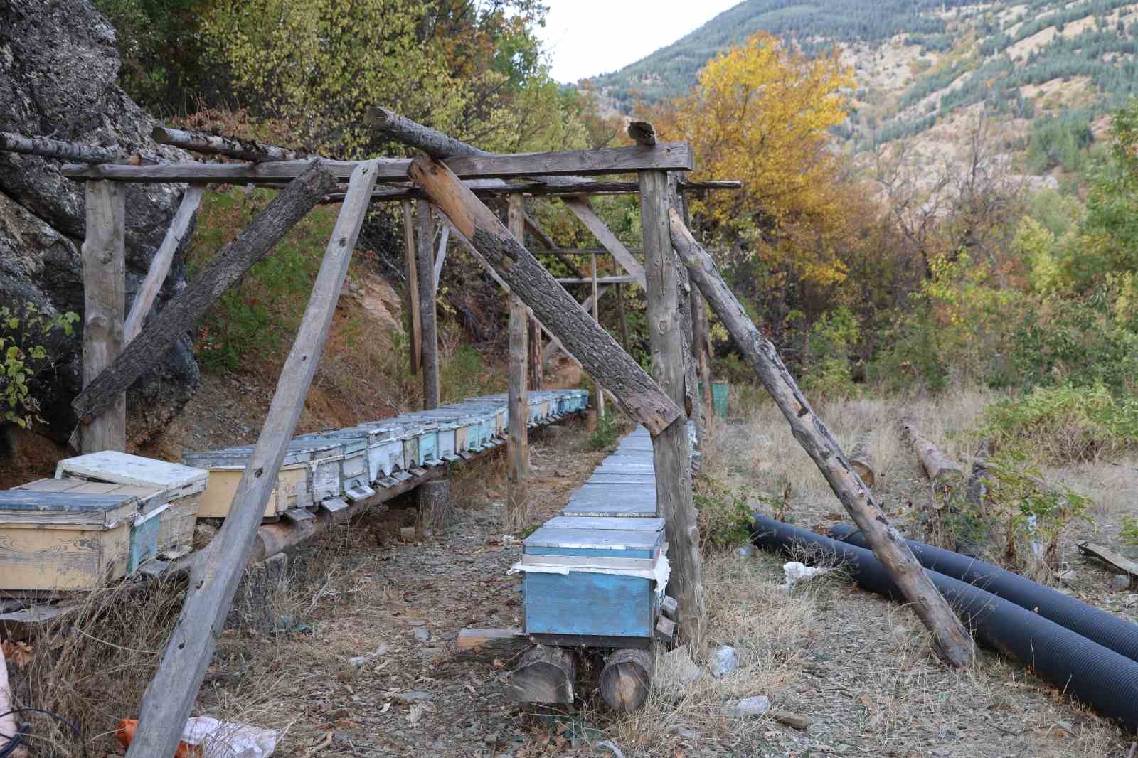 adanada sicaklik dusmeyince arilar kislama icin kovanlara girmedi 3 TqPrhnQS