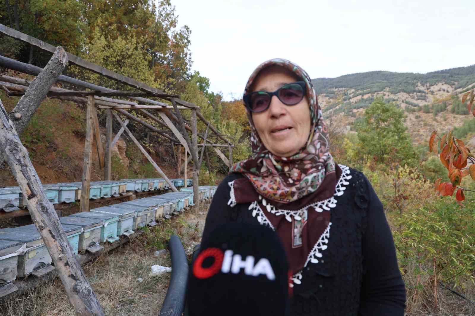 adanada sicaklik dusmeyince arilar kislama icin kovanlara girmedi 4 4gO92s3U
